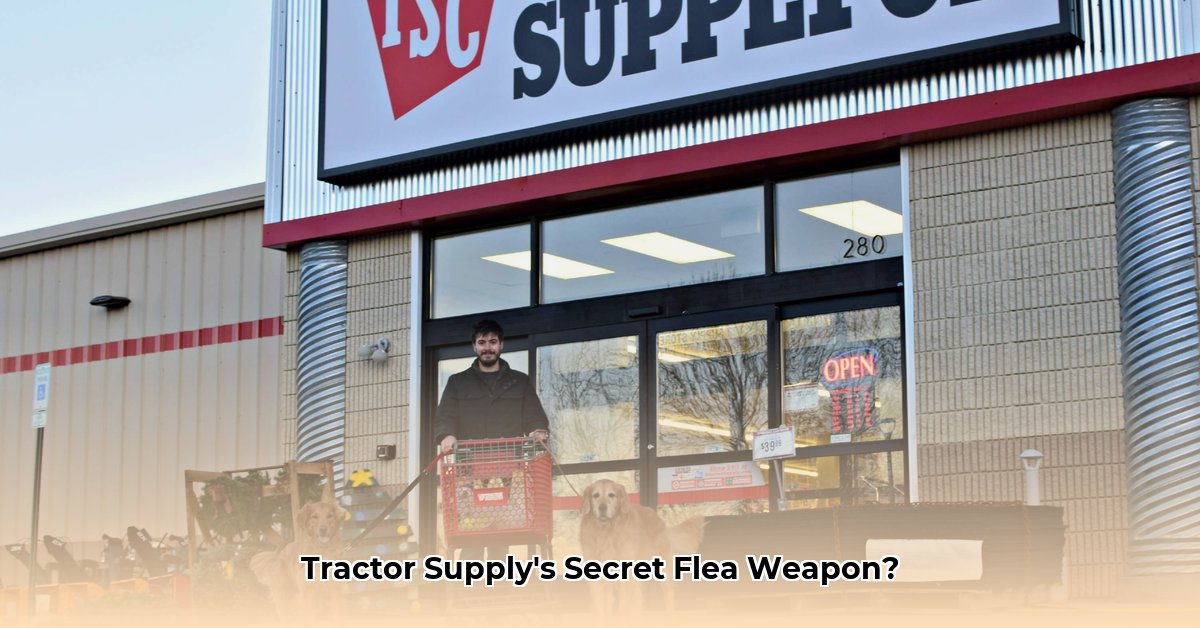 flea-trap-tractor-supply
